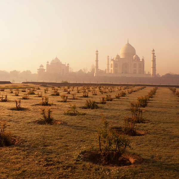 Dawning at Agra’s Mehtab&nbsp;Baag