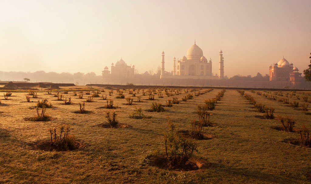 Dawning at Agra’s Mehtab Baag