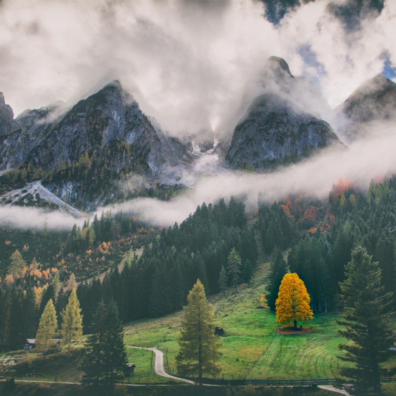 Limerence with Nature at&nbsp;Gosau