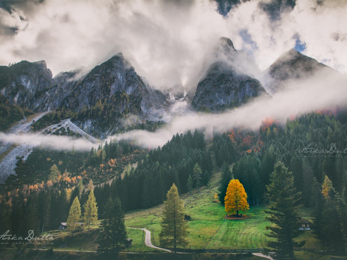 Limerence with Nature at&nbsp;Gosau