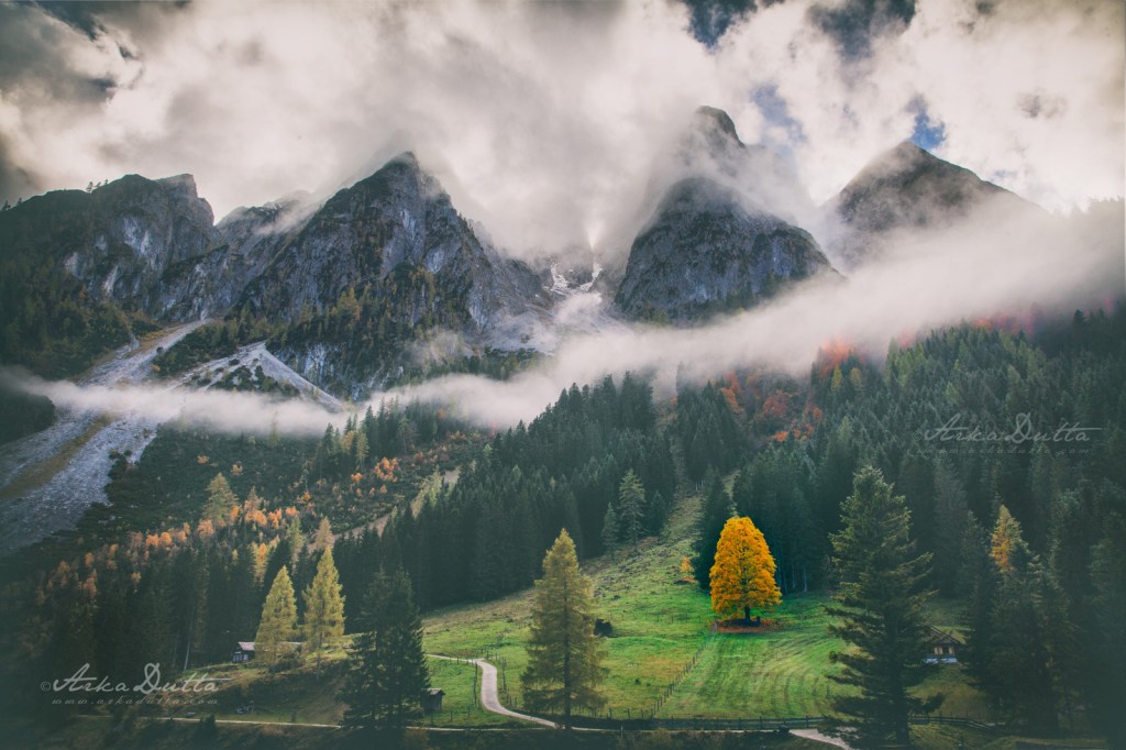 Limerence with Nature at Gosau